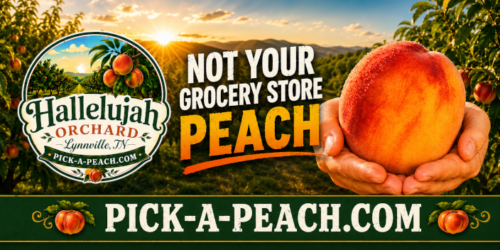 Not your grocery store peach